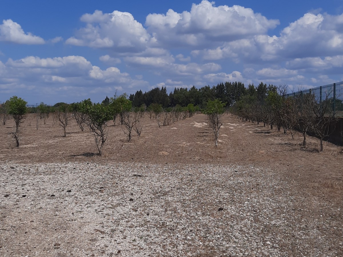 Lote de Terreno&nbsp;Urbano