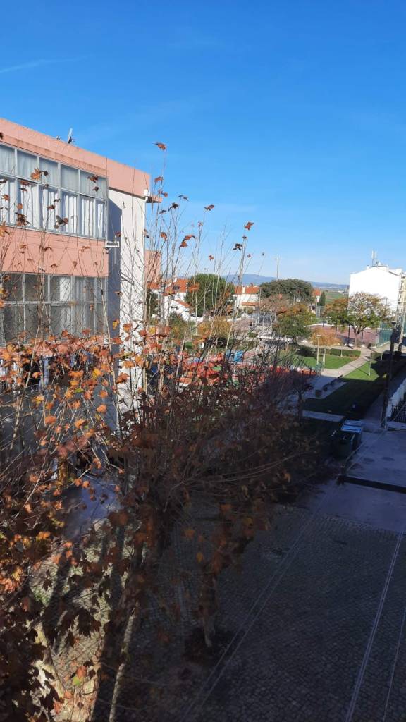 Apartamento T2 – REF&nbsp;100/2024